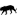 (*Tiger*)