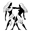 (*Gemini*)