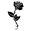 (*Rose*)