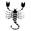 (*Scorpio*)