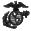 (*USMC*)