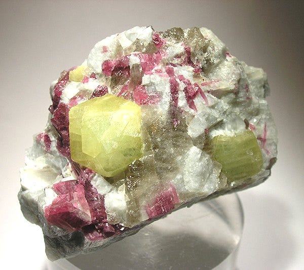 Photo via http://ow.ly/SDzlX 