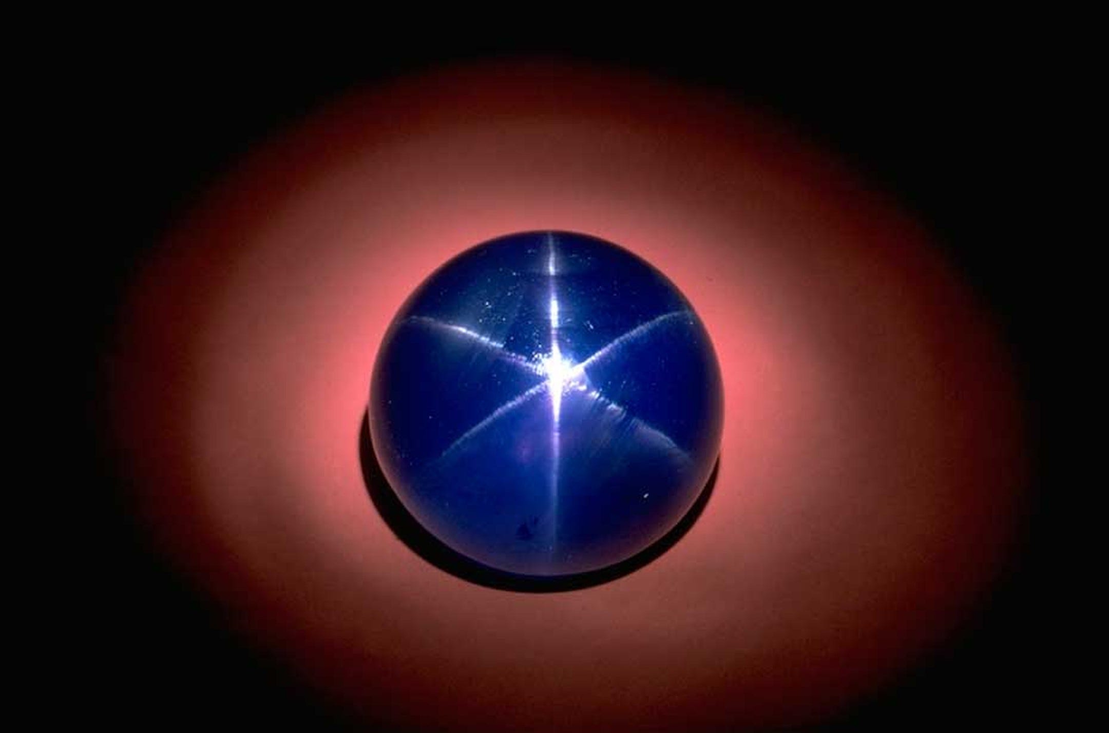 blog- famous star of asia