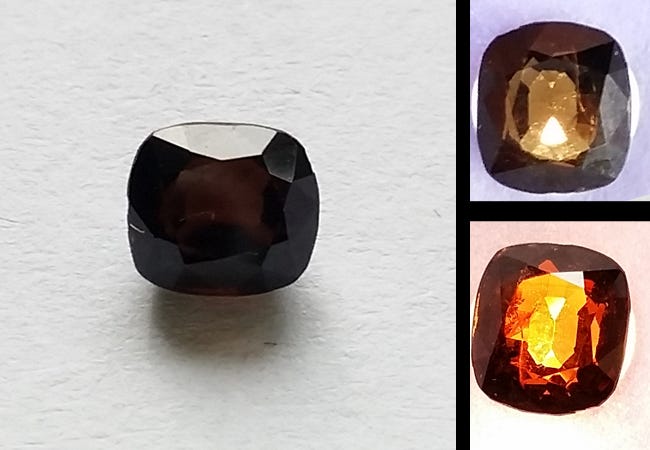 blog- rare pantitie