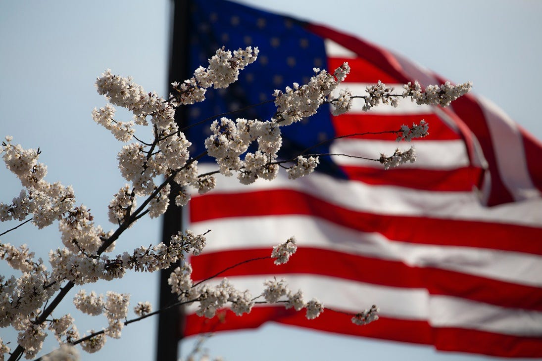 In Honor of Our Veterans